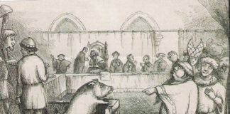 Schweine und Wühlmäuse unter Anklage