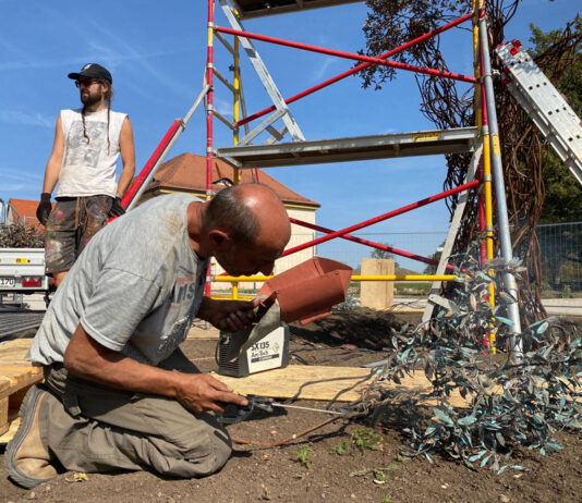 Dr. Molrok und der Paradiesbaum