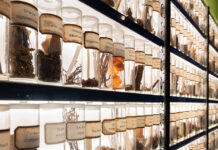 Wer war Johann B.? Trommsdorff und der Aufbruch in die Moderne