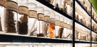 Wer war Johann B.? Trommsdorff und der Aufbruch in die Moderne