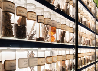 Wer war Johann B.? Trommsdorff und der Aufbruch in die Moderne