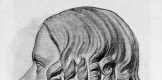 Die zwei Leben der Eugenie John. Teil 2