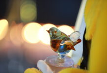 Ausschreibung für den Wettbewerb „Kino-TV GOLDENER SPATZ 2022“ gestartet!