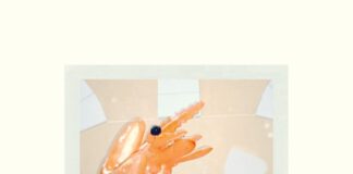 Jedes Türchen ein Pläsierchen: Der Stadtmagazin 07-Adventskalender –