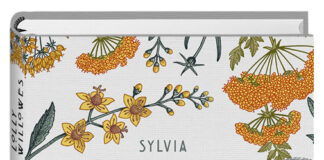 Jedes Türchen ein Pläsierchen: Der Stadtmagazin 07-Adventskalender –