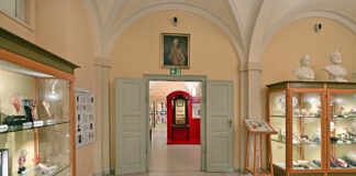 Historische Präparate und moderne Lehrmodelle