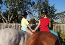Musikalische Buchvorstellung: „Mindful Riding. Sieben Lektionen für mehr Pferdeglück“