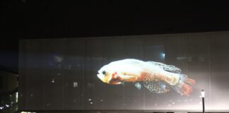 Faszinierende Wissenschaft – Lange Nacht der Wissenschaften am Jenaer Beutenberg Campus