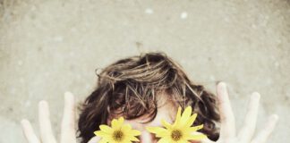 Rudolstadt-Festival veröffentlicht Programm