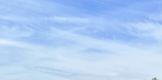 Ab ins Wasser: Die Freibadsaison 2023 ist eröffnet