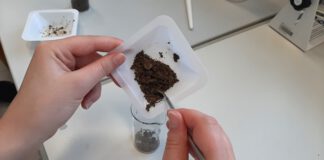 Was verbirgt sich in meinem Gartenboden?