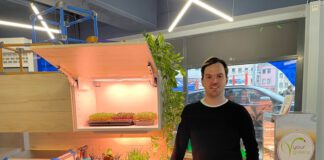 Die faszinierende Welt des selbst angebauten Grüns