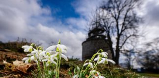 Raritätenbörse „Schätze unterm Schnee“ eröffnet Veranstaltungsreigen im egapark Erfurt