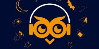 Verborgene Schätze entdecken zur Langen Nacht der Museen