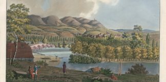 Kunst, Kultur & Sommerlaune: Im Sommer haben die Städtischen Museen viel zu bieten