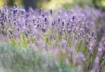 Fit in die Perimenopause – Neuer Kurs in Jena