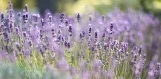 Fit in die Perimenopause – Neuer Kurs in Jena