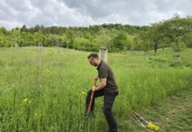 Herbsteinsätze gegen invasive Pflanzenarten
