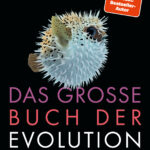 Winterzeit ist Lesezeit. Teil 2