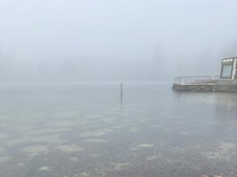 Eisschicht verhindert Neujahrsschwimmen