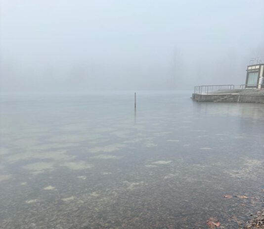 Eisschicht verhindert Neujahrsschwimmen