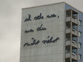 Ein Kultfilm als Vorlage: Hass / Μίσος / Ură