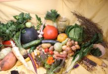 Der essbare Garten – Eine Themenreihe rund ums Gartenjahr