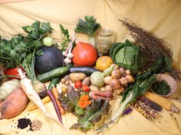 Der essbare Garten – Eine Themenreihe rund ums Gartenjahr