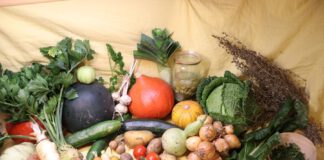 Der essbare Garten – Eine Themenreihe rund ums Gartenjahr