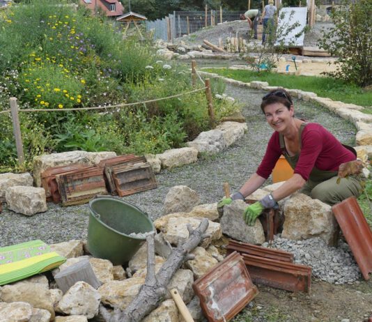 Kurs: Insekten- und vogelfreundliche naturnahe (Vor-)Gärten